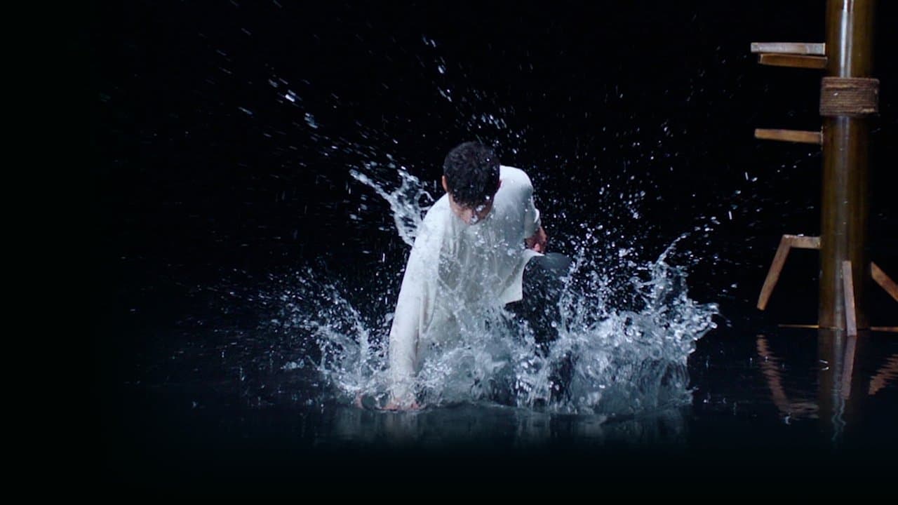 Ip Man : Naissance d'un combattant backdrop