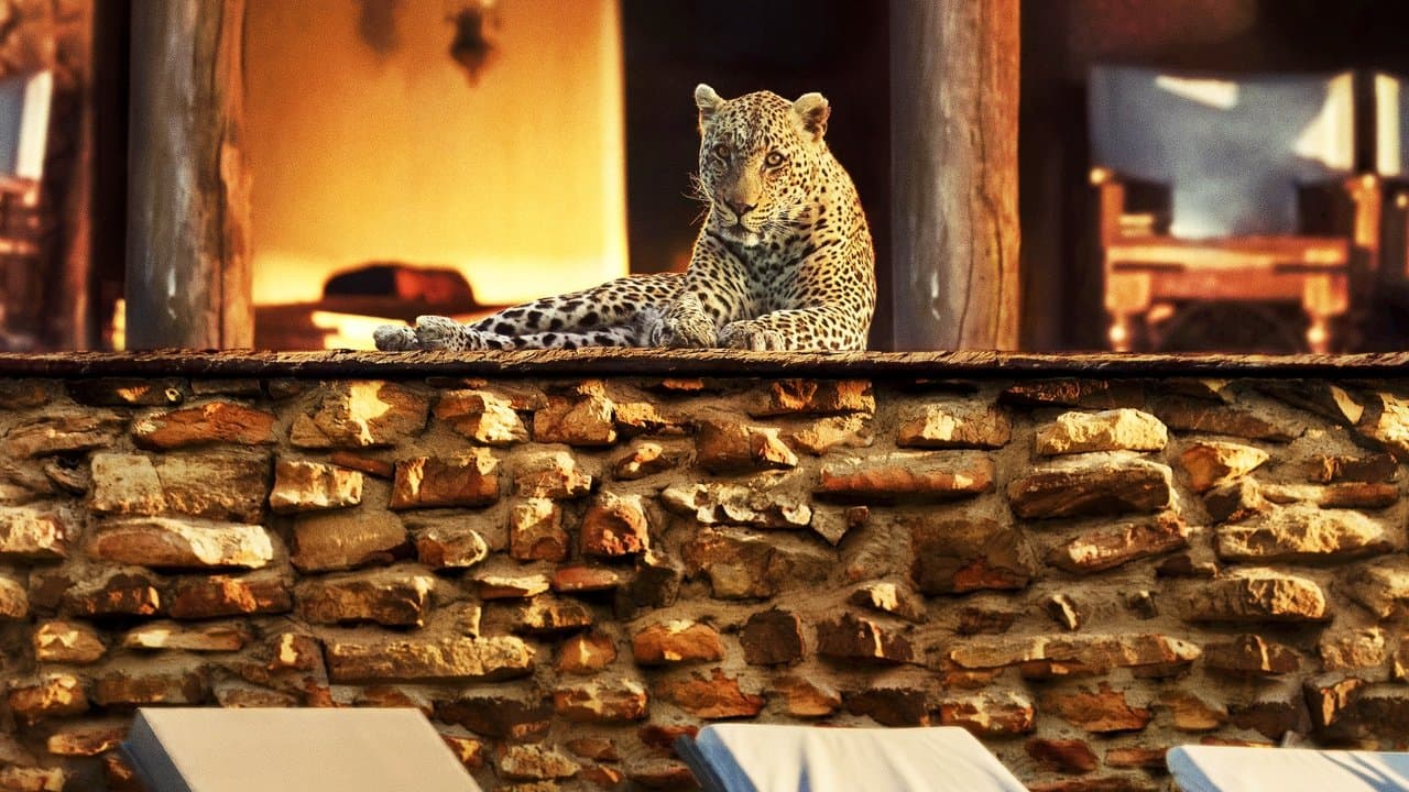 L’année où la Terre a changé backdrop