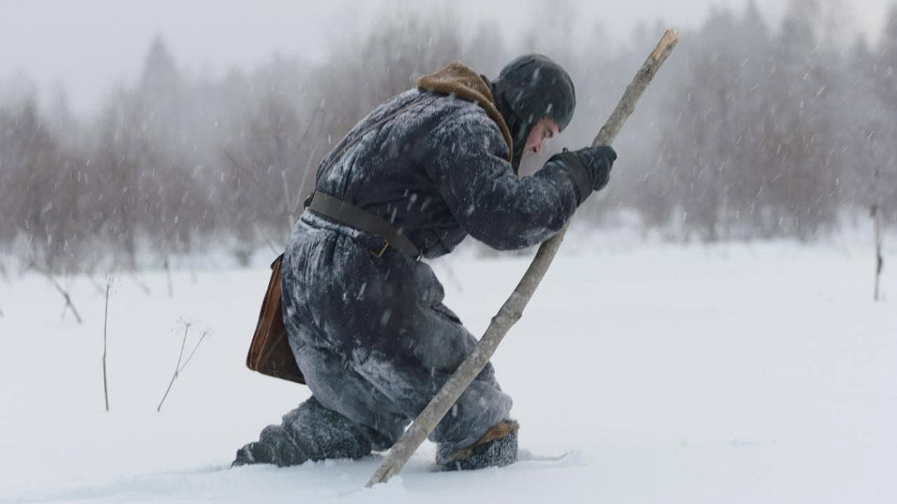 The Pilot : A Battle for Survival backdrop