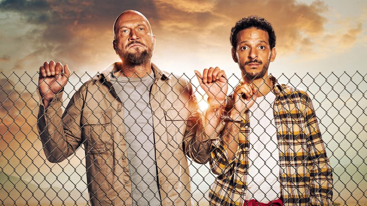 Les Amateurs backdrop