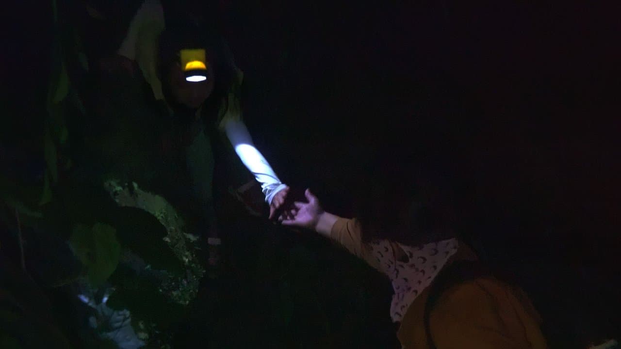 Corée du Nord : Le Prix de la liberté backdrop