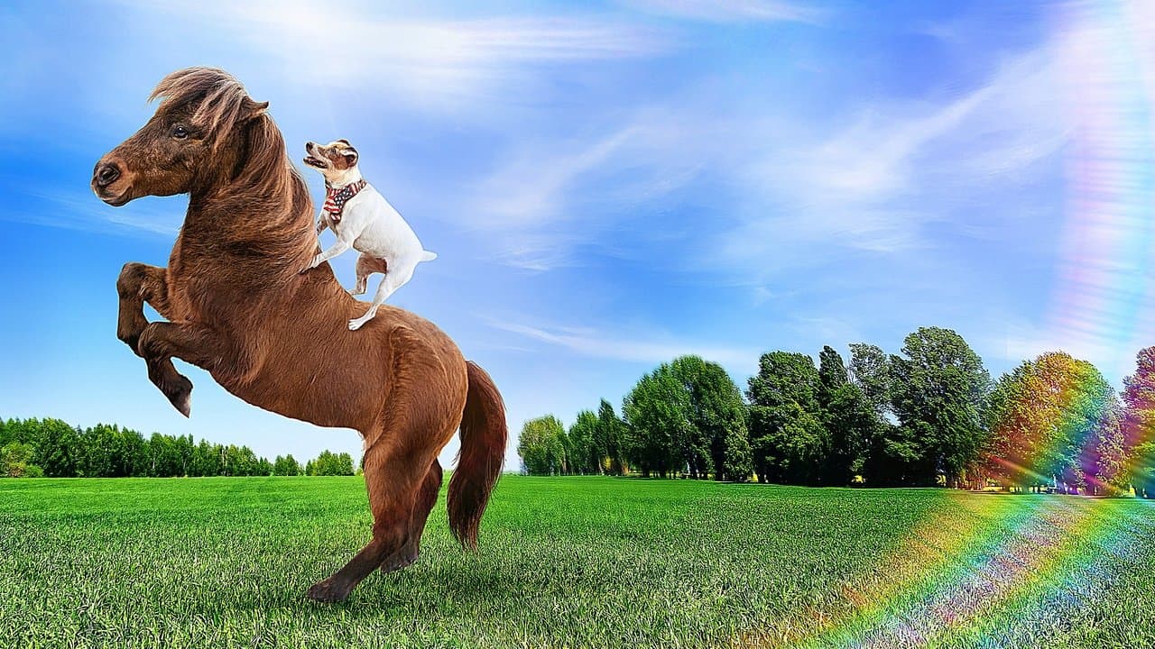 Les aventures de Dally et Spanky backdrop