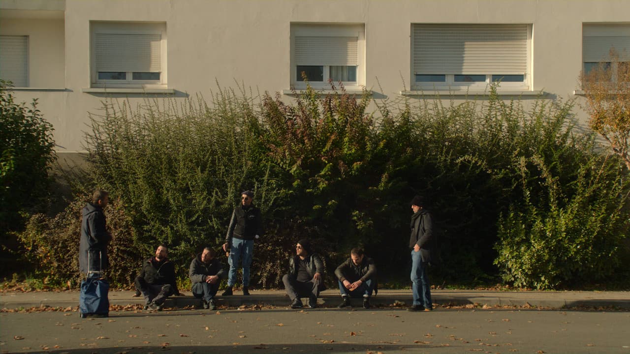 Le gang des Bois du Temple backdrop