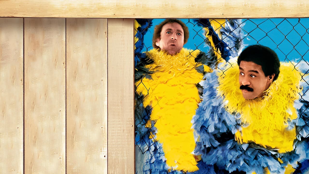 Faut s'faire la malle backdrop