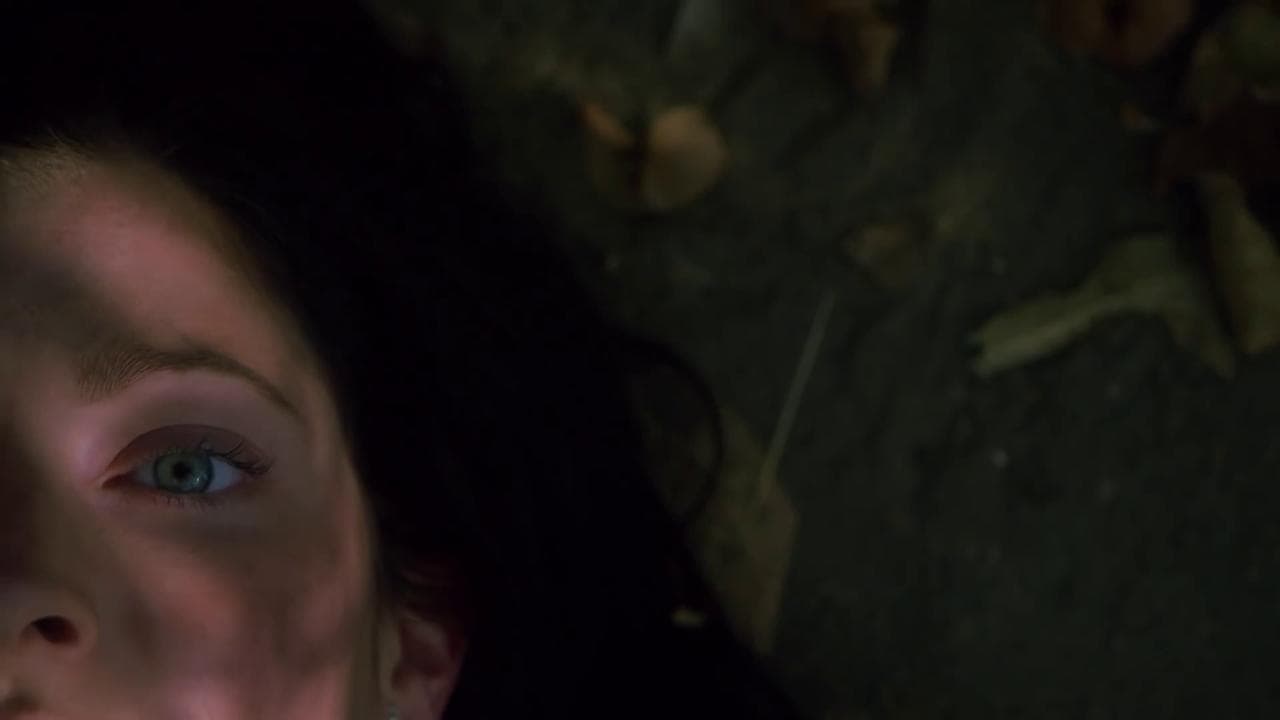 Sœurs jumelles, sœurs ennemies backdrop