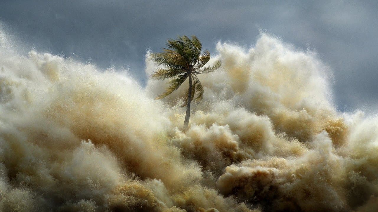 Tsunami 2004 : La Vague Mortelle backdrop