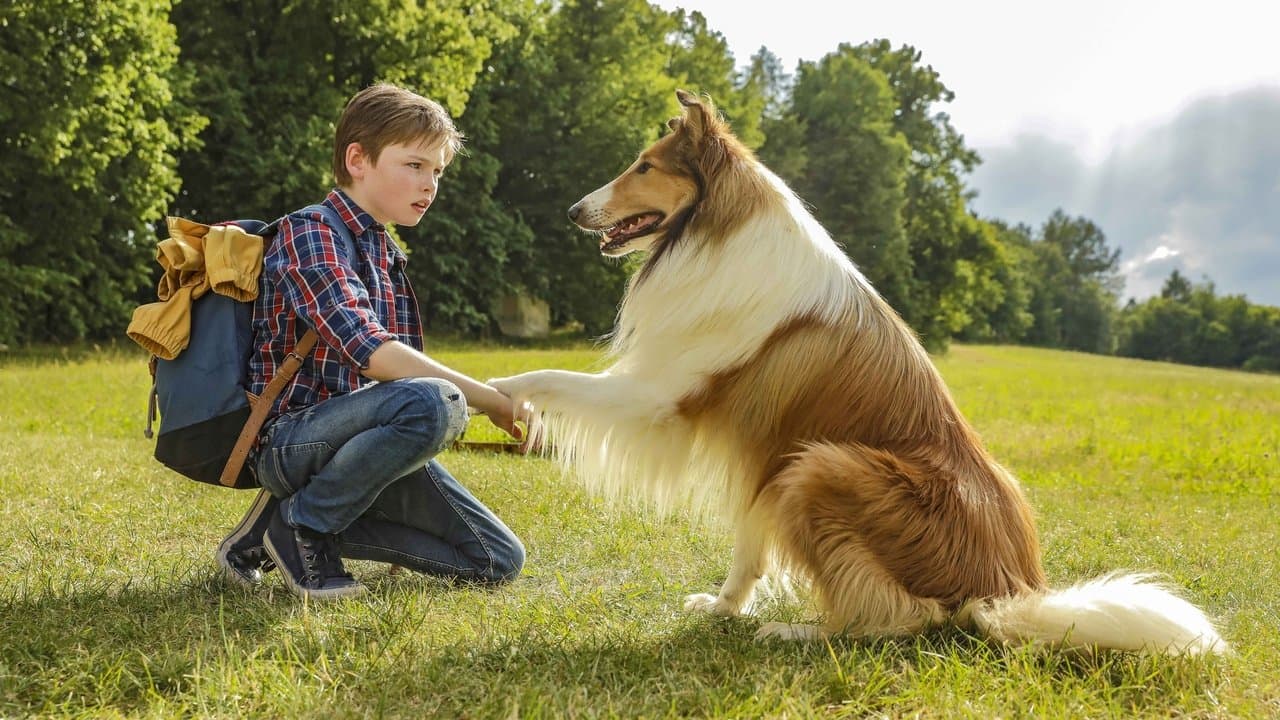 Lassie : La route de l'aventure backdrop