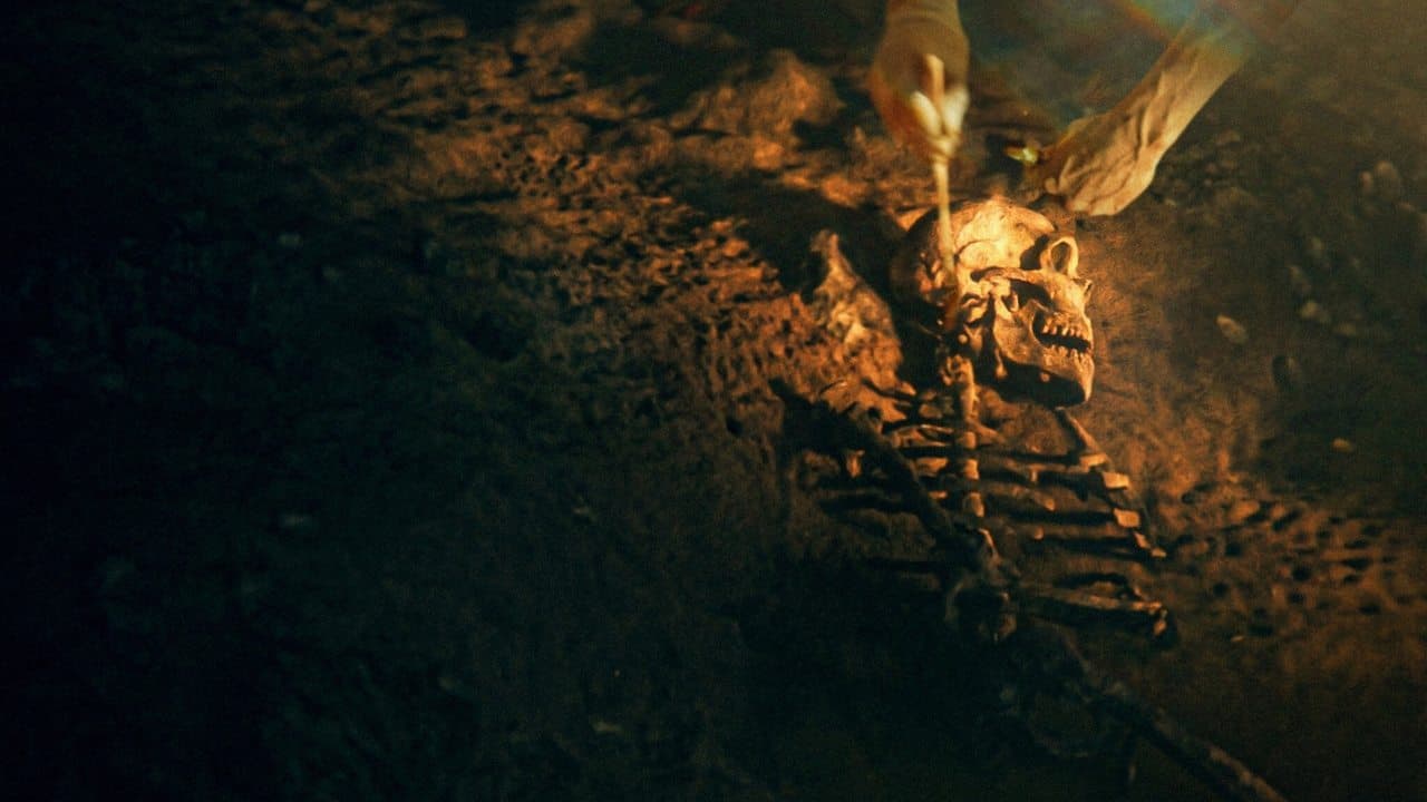 Secrets de Néandertal backdrop