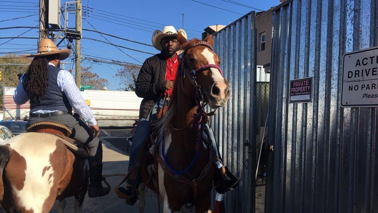 USA : Black Cowboys, la légende oubliée backdrop