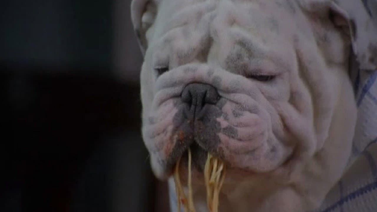 Un Chien dans la mafia backdrop