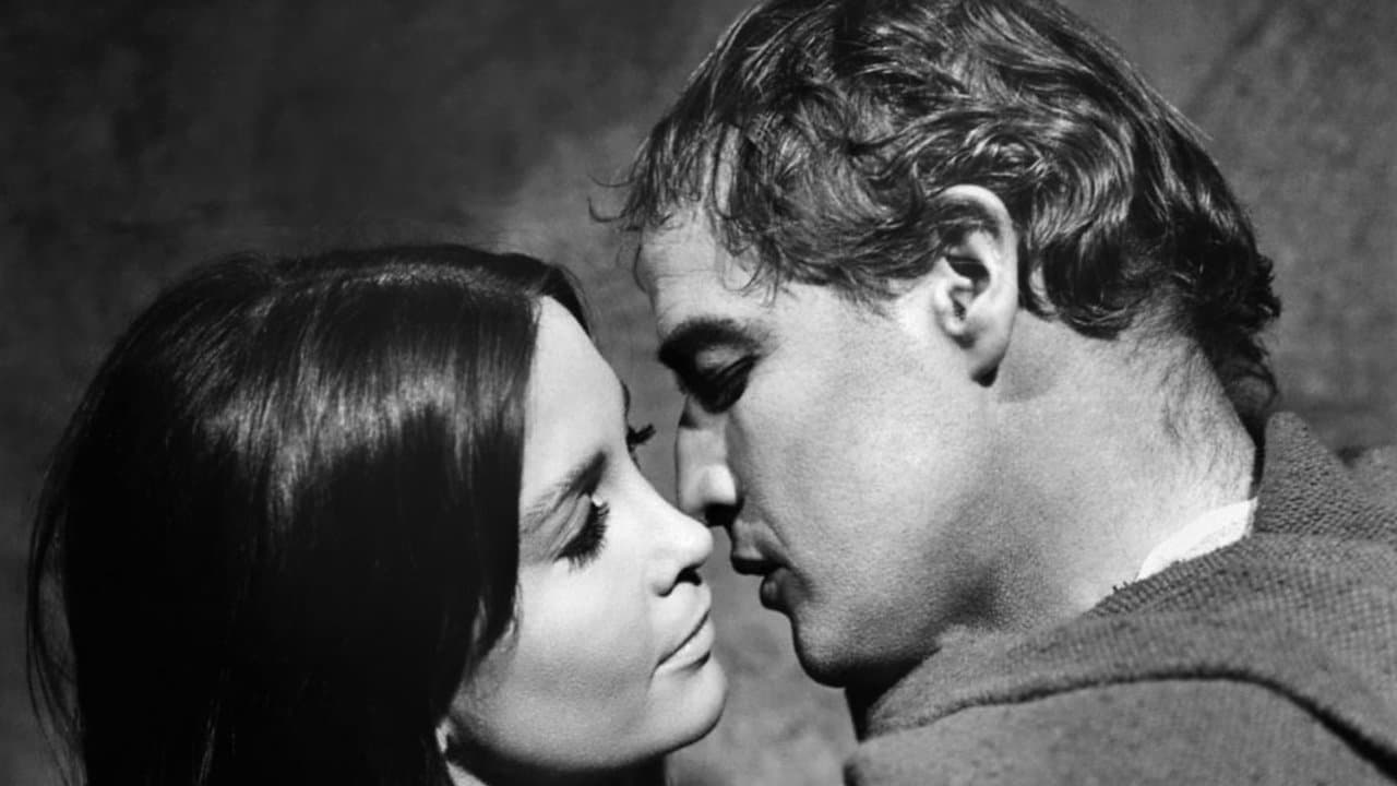 L'Homme de la Sierra backdrop