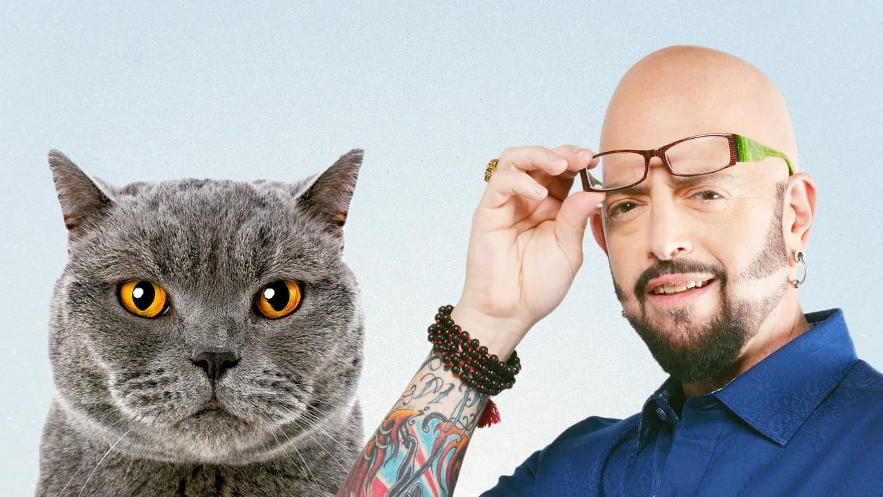 Hell's cat : Mon chat est un cauchemar backdrop
