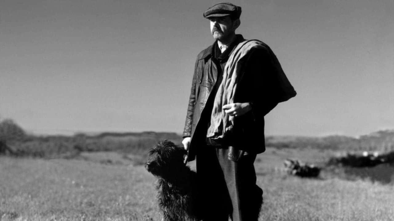 Goupi mains rouges backdrop