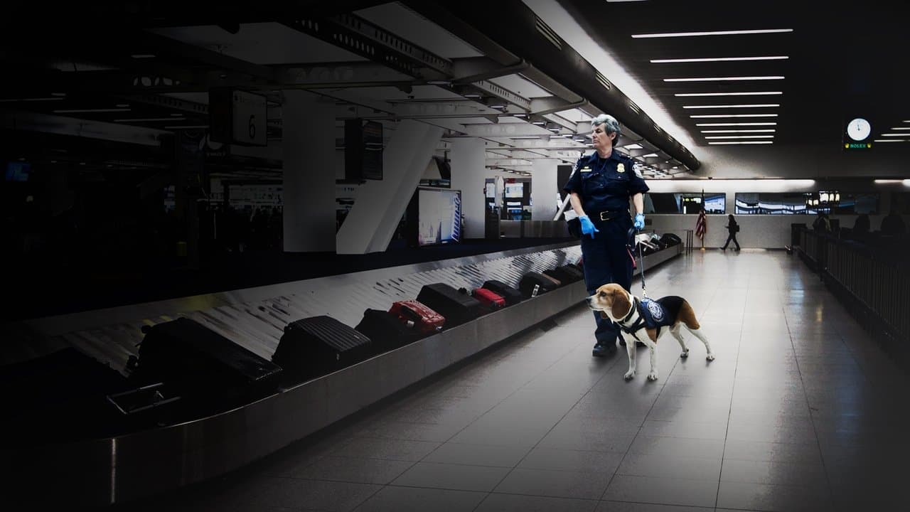 Ultimate Airport USA backdrop