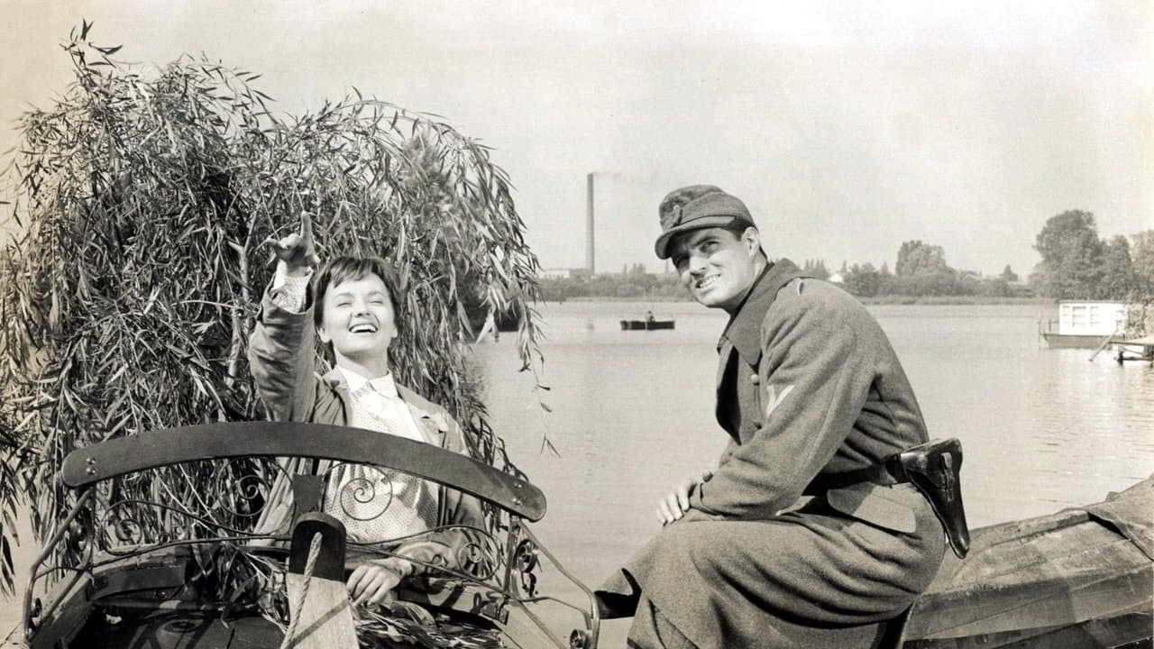 Le Temps d'aimer et le temps de mourir backdrop