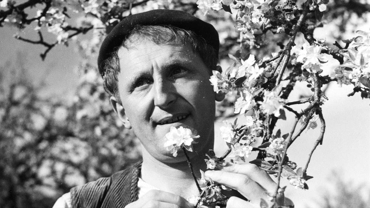 Le Rosier de madame Husson backdrop