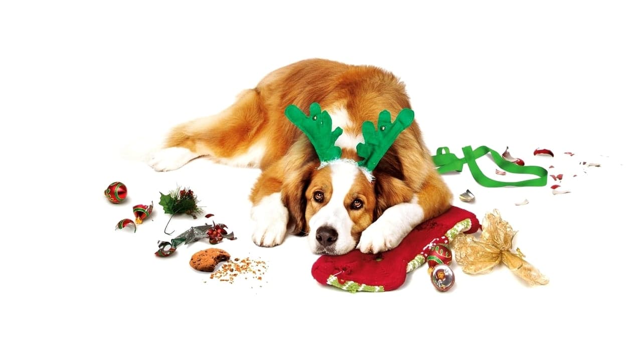 Noël chez les Cooper backdrop