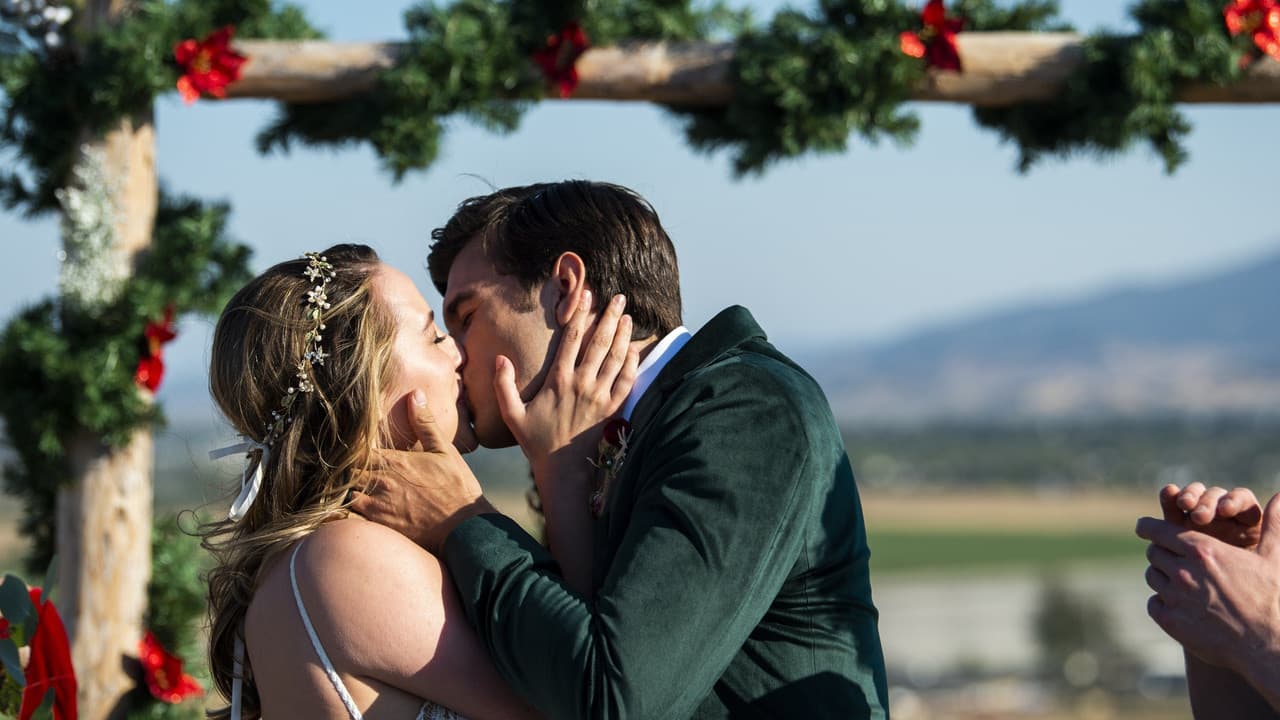Un Noël en Californie: Les lumières de la ville backdrop