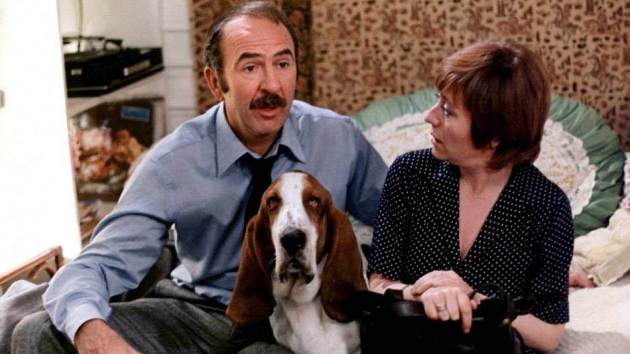 Cours apres moi que je t'attrape backdrop