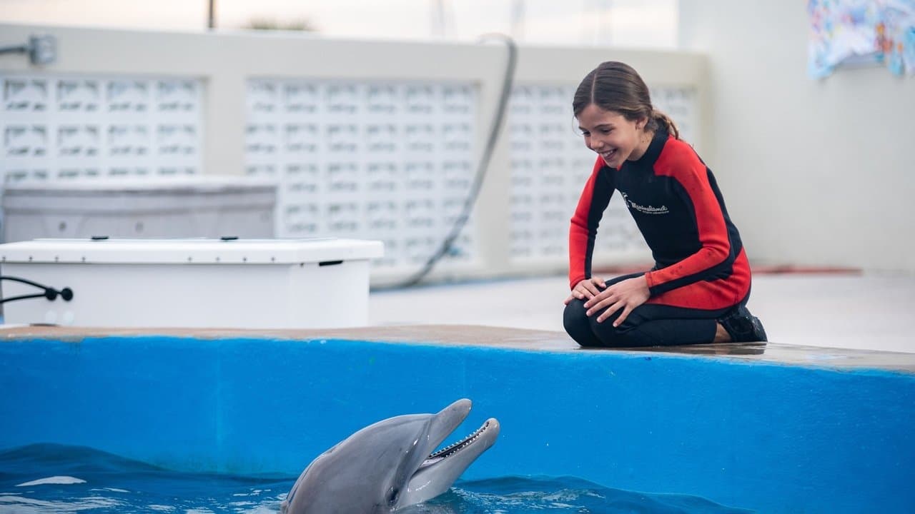 Bernie le Dauphin : Mission Sauvetage backdrop