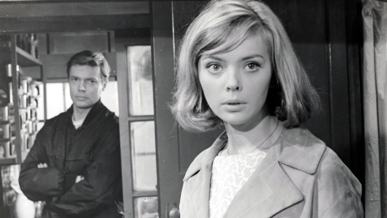 Rififi à Tokyo backdrop