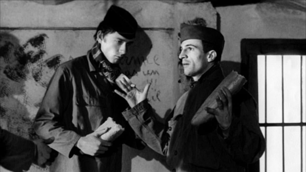 Tire-au-flanc 62 backdrop