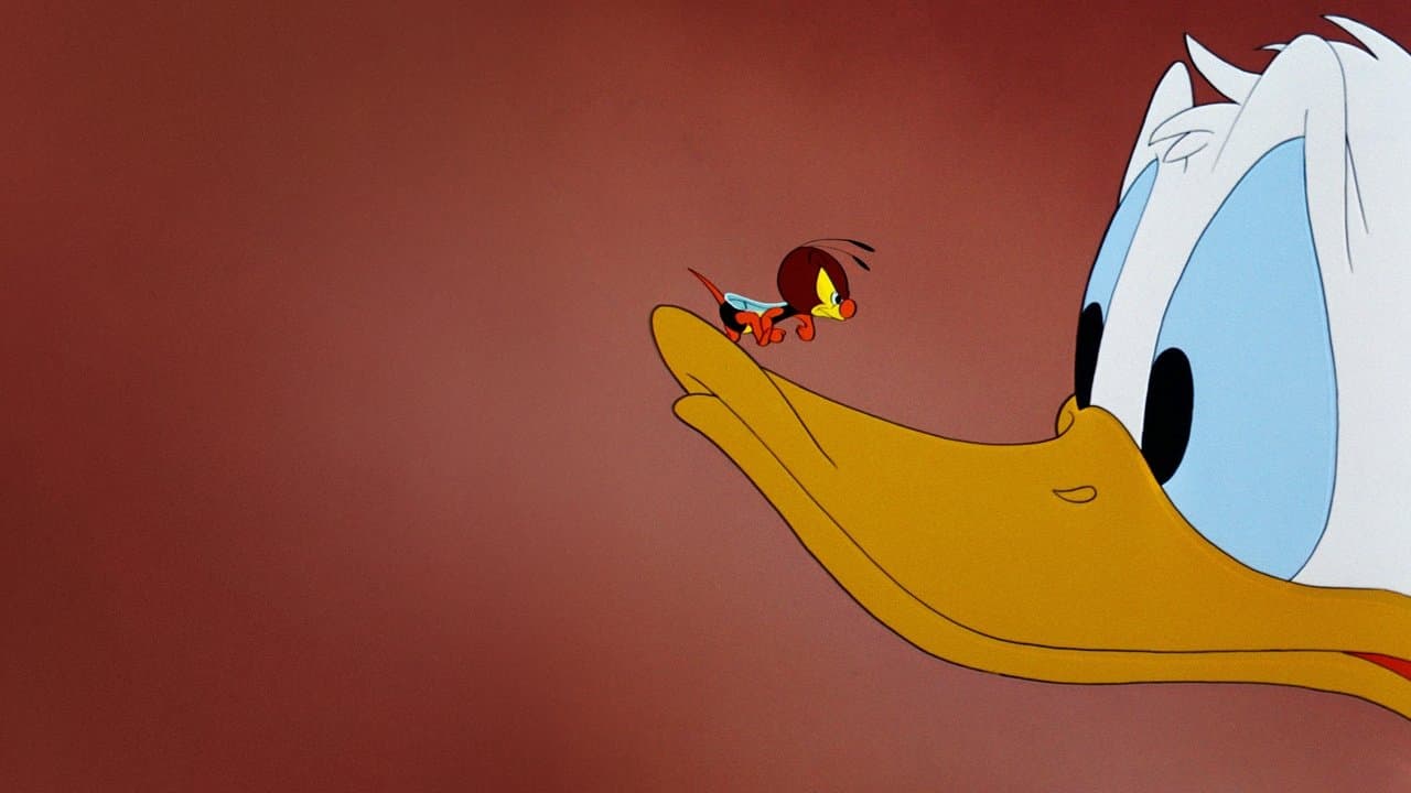 Donald Décorateur backdrop