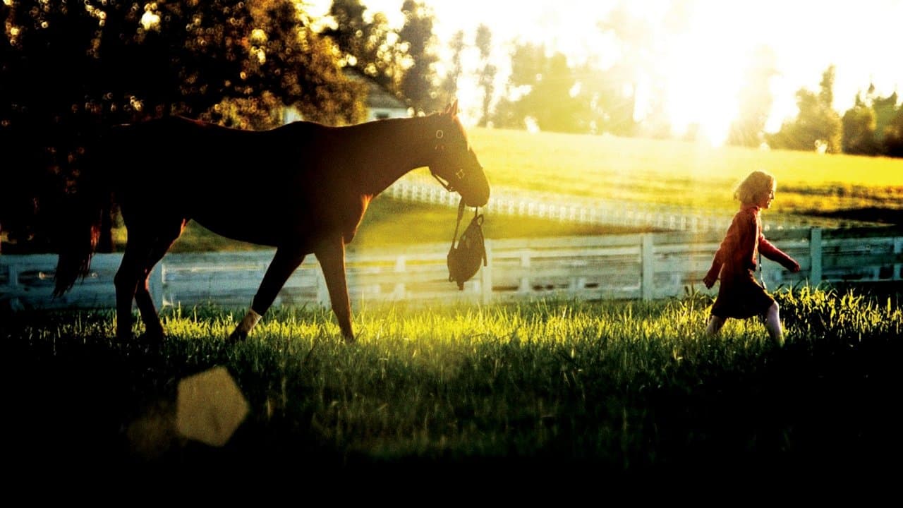 Dreamer : Inspiré d'une histoire vraie backdrop