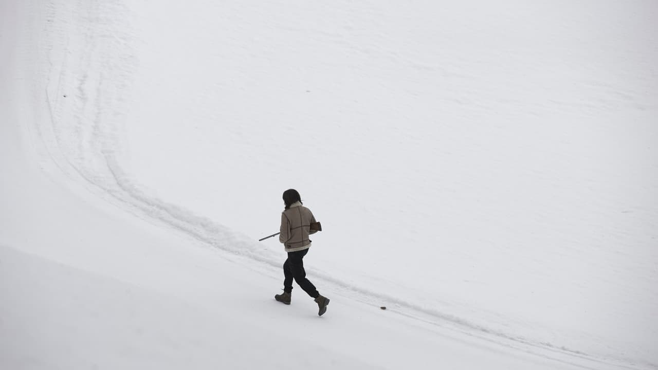 Seule : Les dossiers Silvercloud backdrop