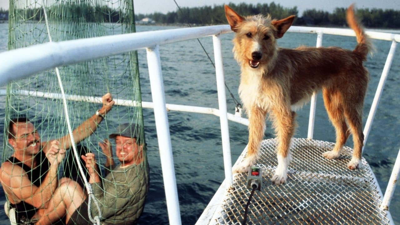 Zeus & Roxanne backdrop