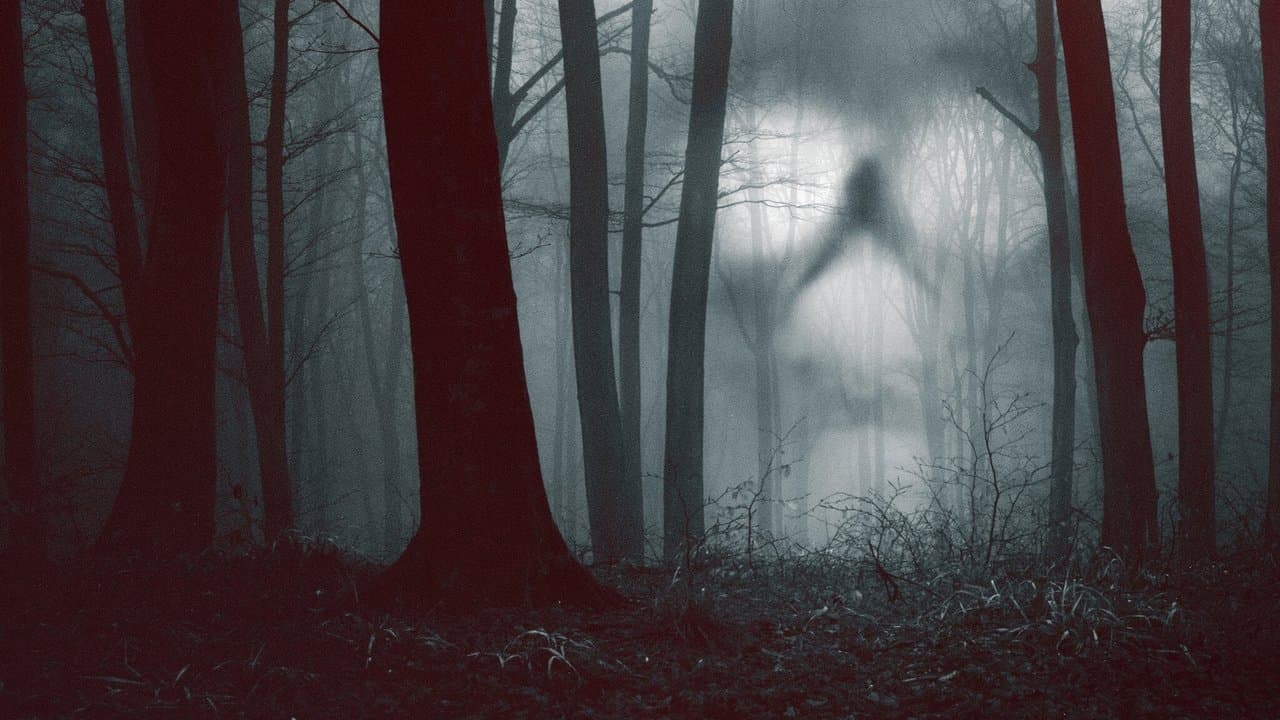 28 jours de terreur backdrop