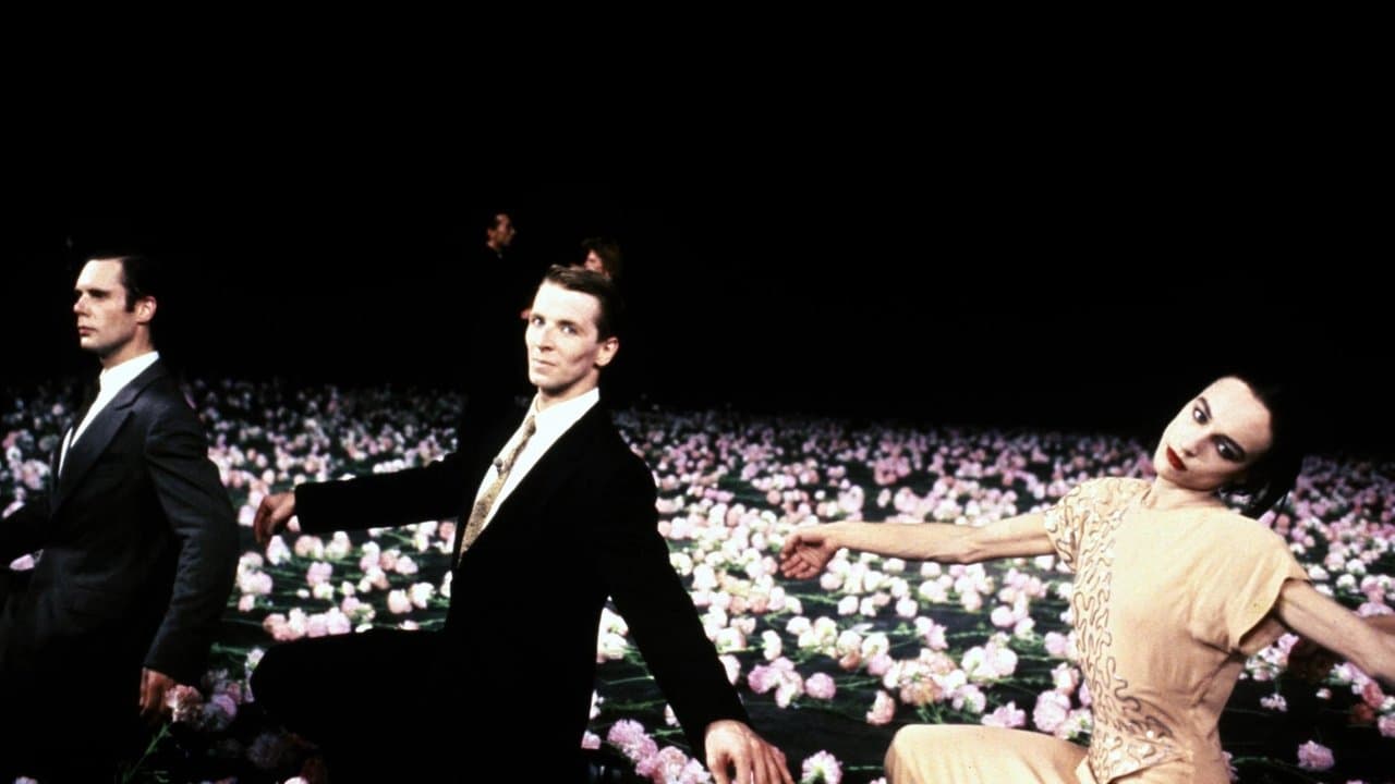 Un jour Pina a demandé... backdrop