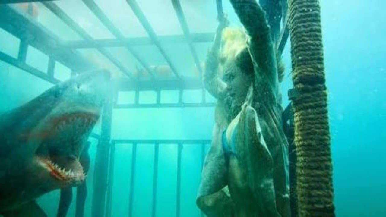 Requins tueurs backdrop