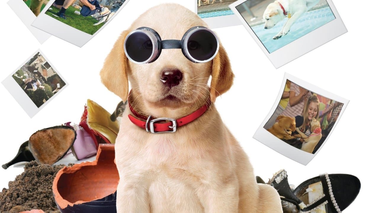 Marley & moi 2 backdrop