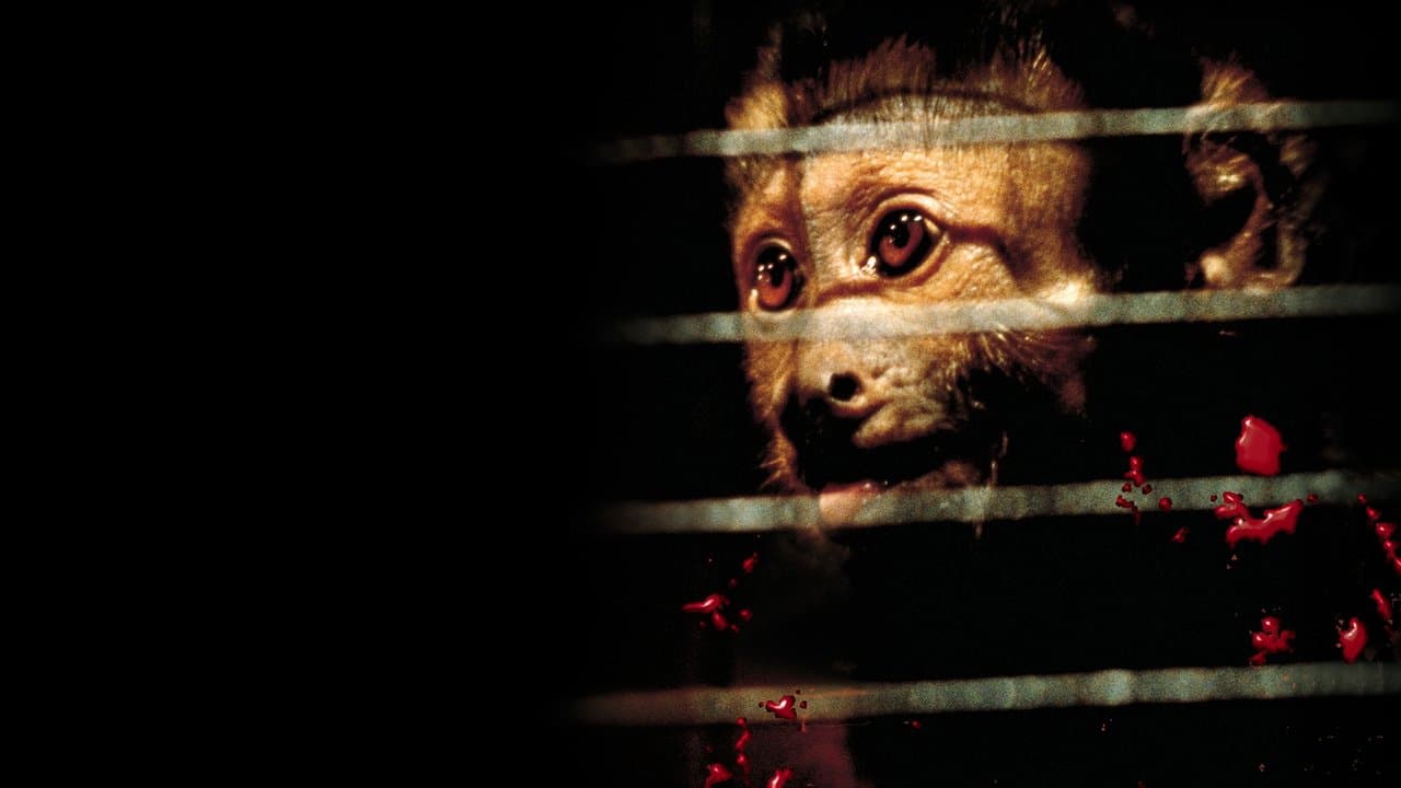 Incidents de parcours backdrop