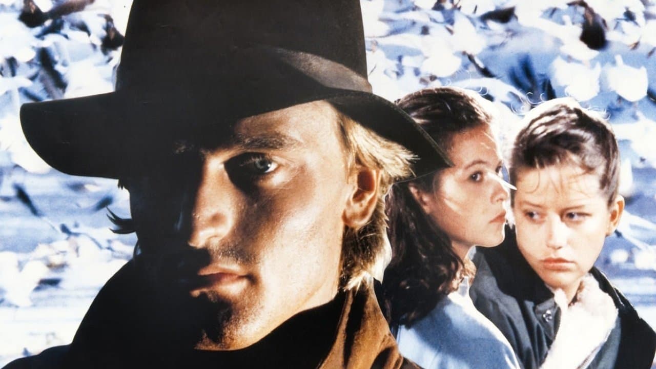 Les Fous de Bassan backdrop