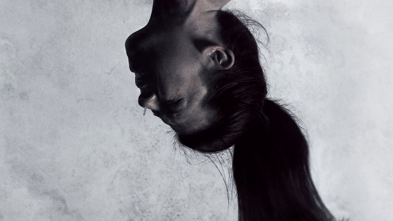 Hostel, chapitre II backdrop