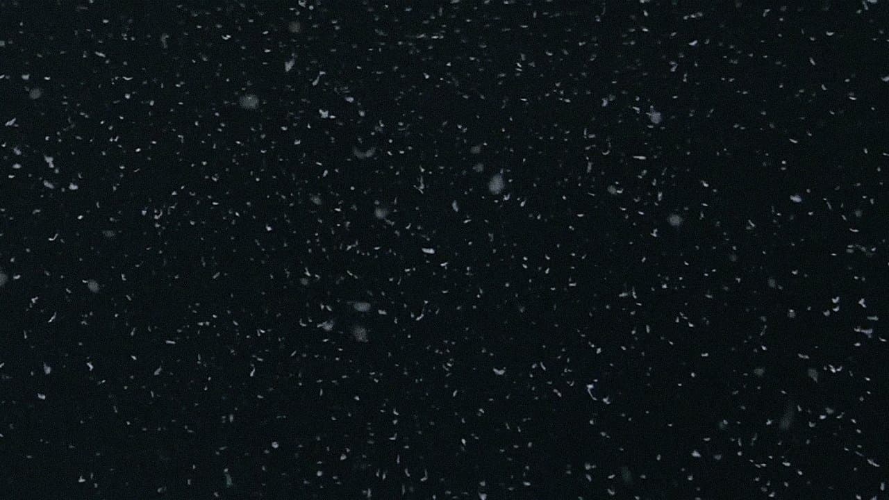 L'Amour à mort backdrop