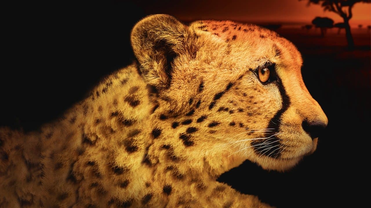 Afrique - À la vie, à la mort backdrop