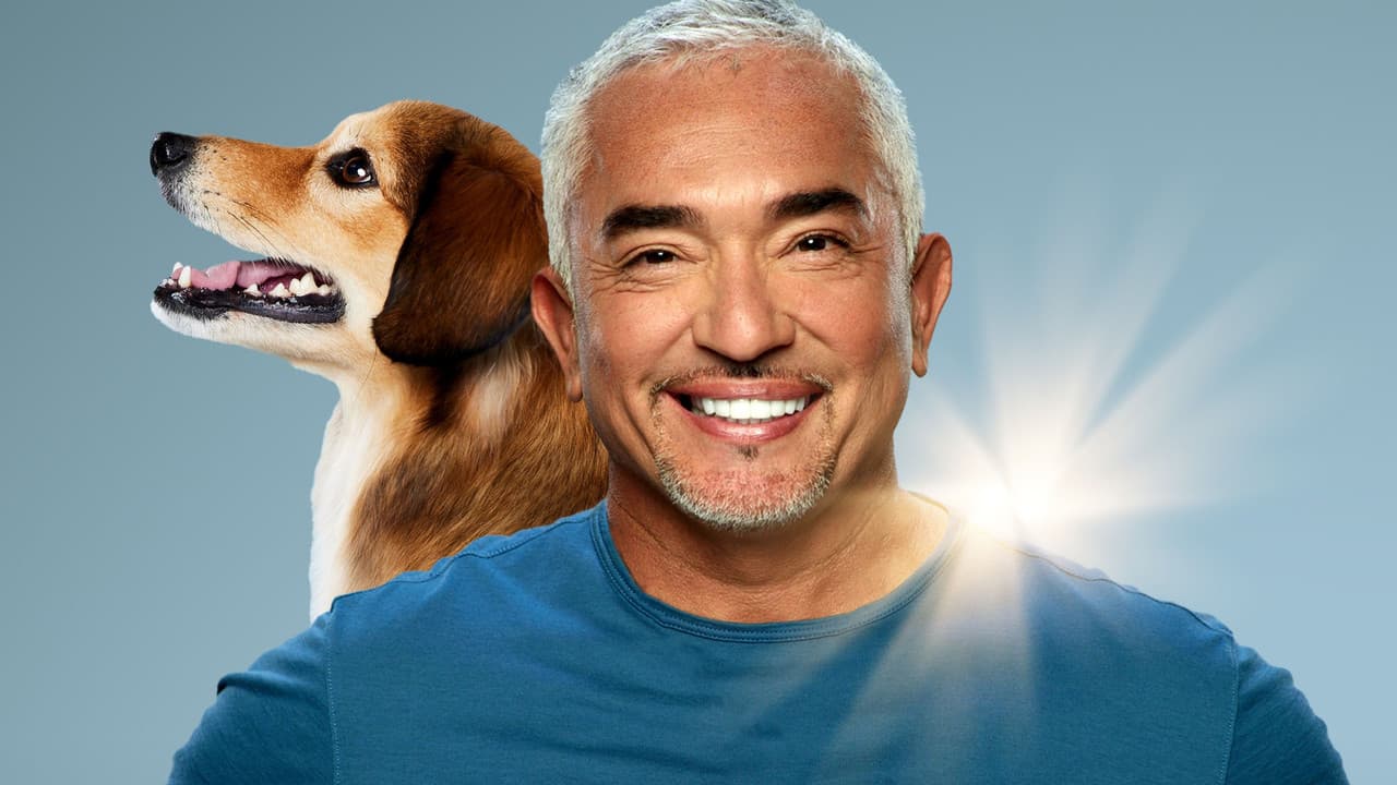 Cesar Millan: Tel Maître, Tel Chien backdrop