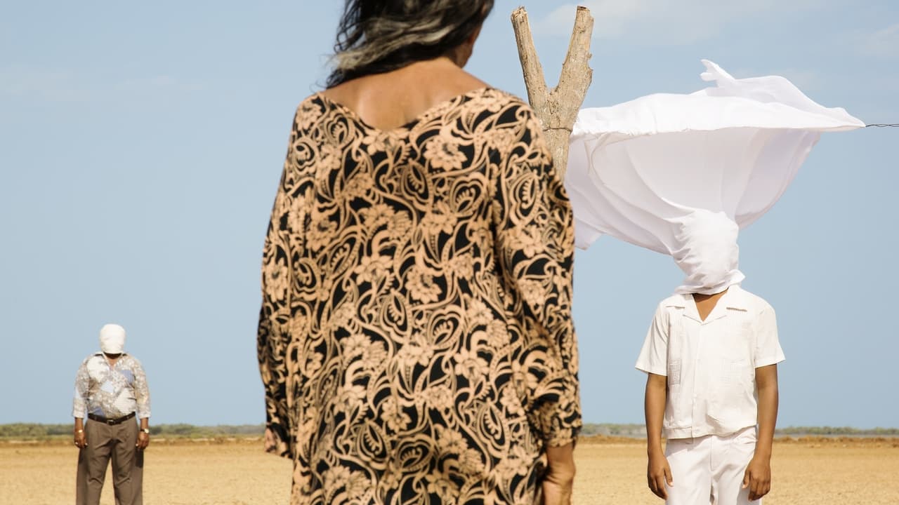 Les Oiseaux de passage backdrop