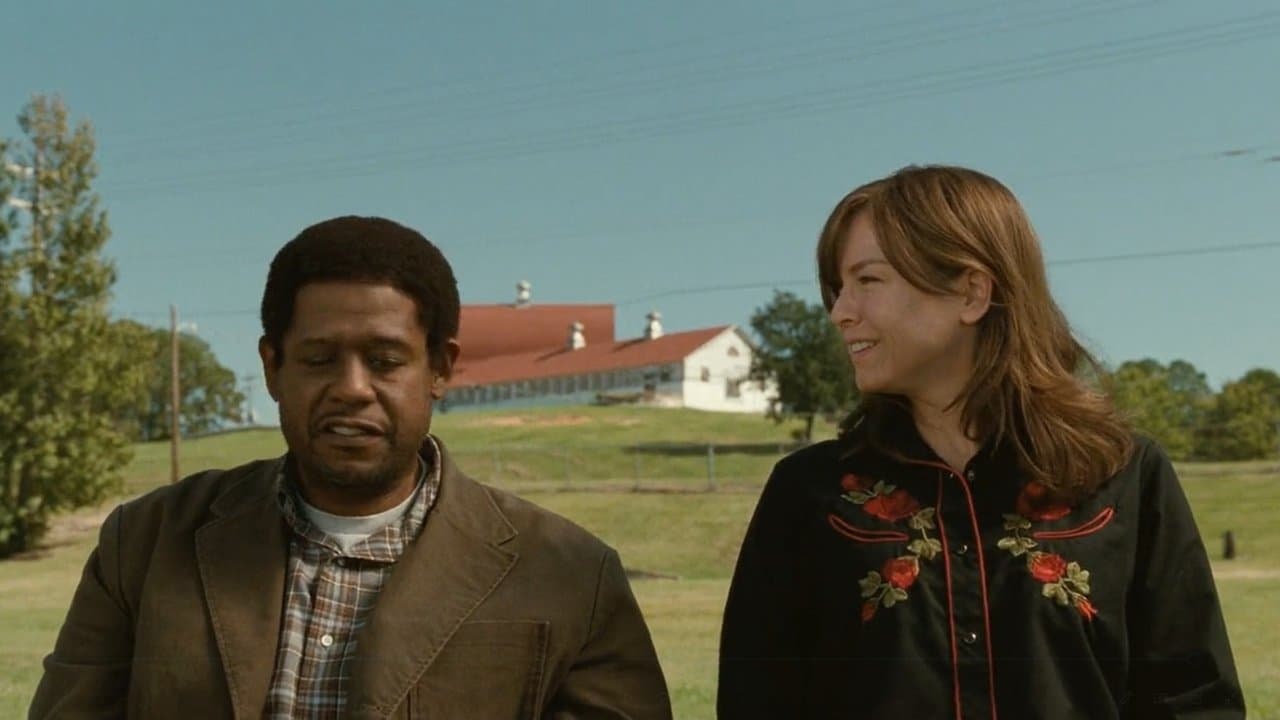 My Own Love Song backdrop