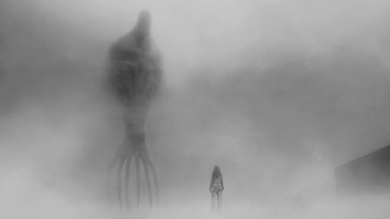 Premier Contact backdrop