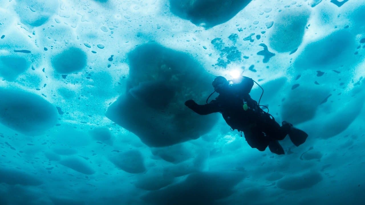 Pêcheurs d'or : Sous la glace backdrop