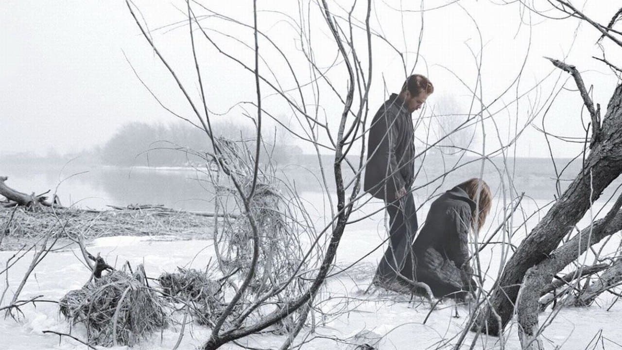 Des Anges dans la Neige backdrop