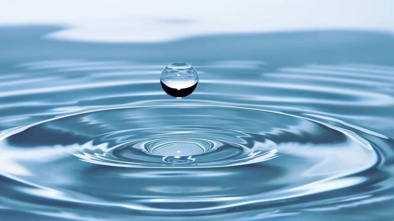 Main basse sur l'eau backdrop