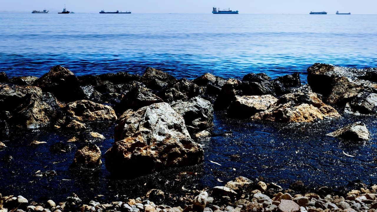 Amoco Cadiz: la marée noire du siècle, 40 ans après backdrop