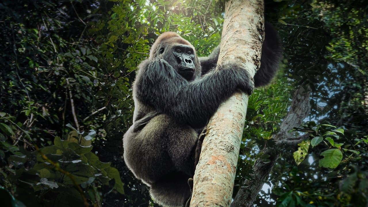 Big Beasts : sur les traces des géants backdrop