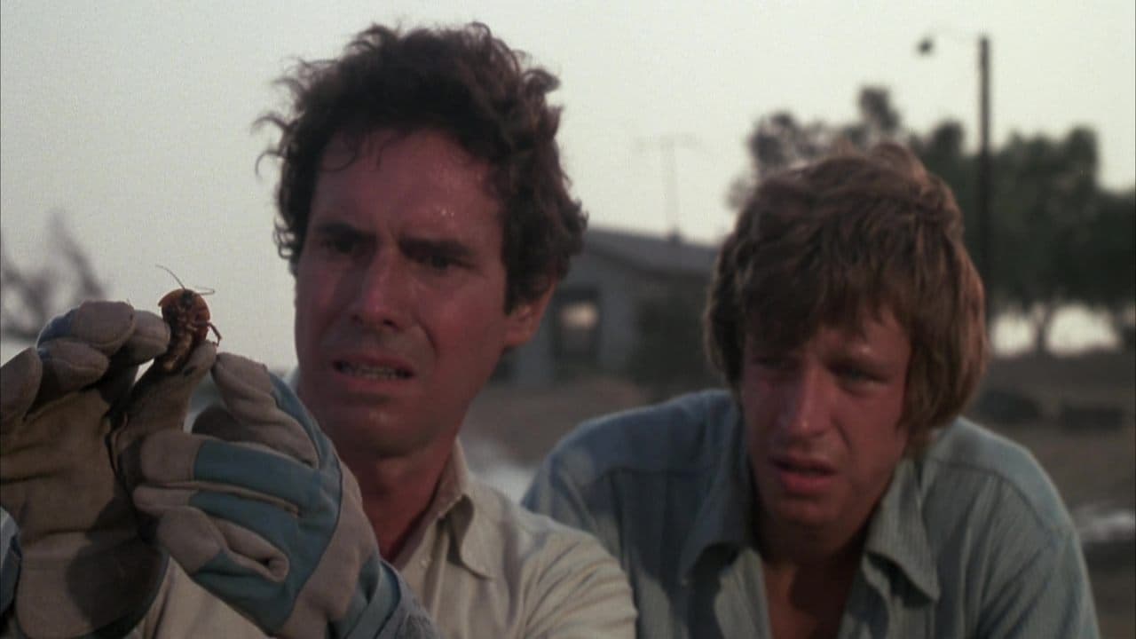 Les Insectes de feu backdrop