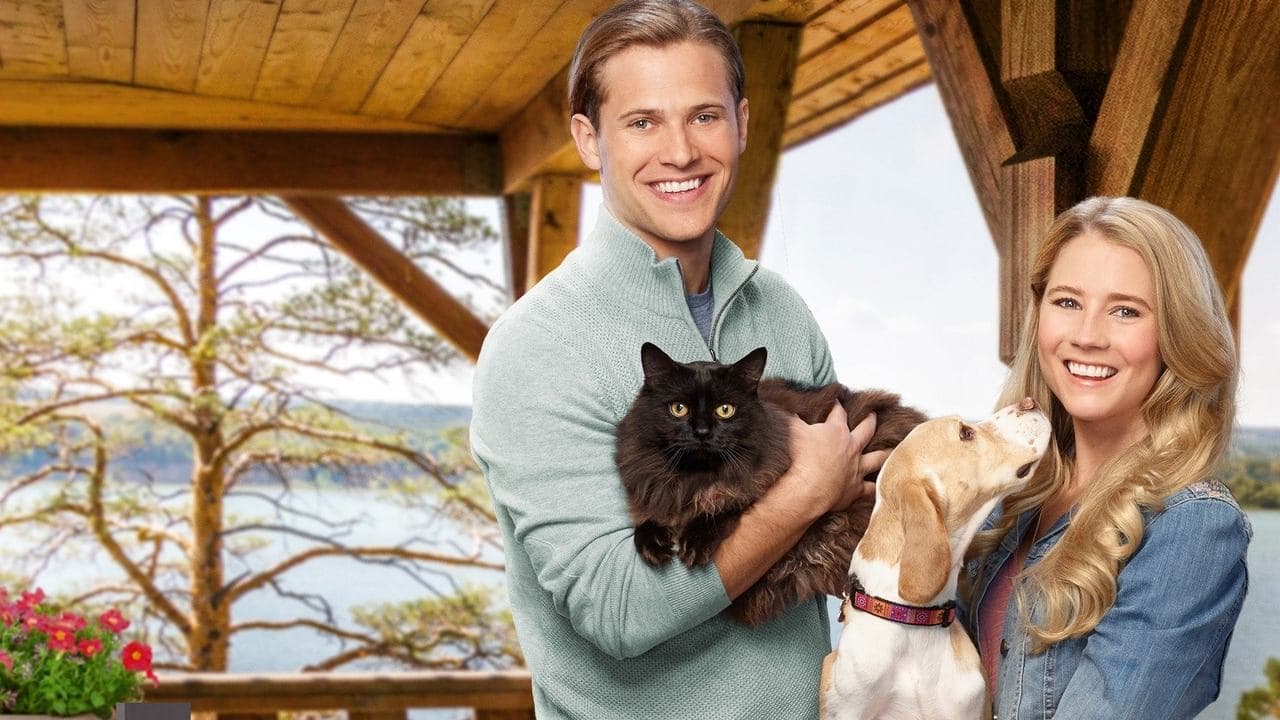 L'amour comme chiens et chats backdrop